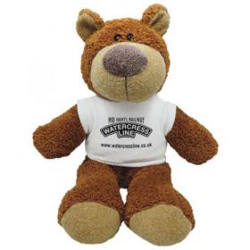 E136 15 inch Buster Bear with T-Shirt